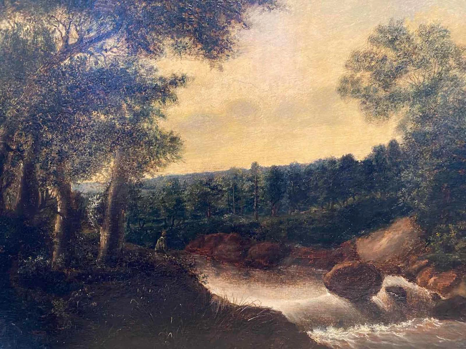 Paesaggio boschivo con fiume, cascatella e pescatore